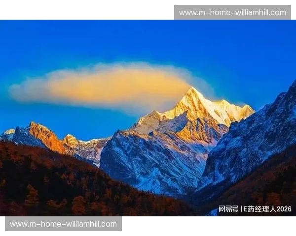 强制降温暂停写入竞赛规程 北美夏季高温成赛事新变量